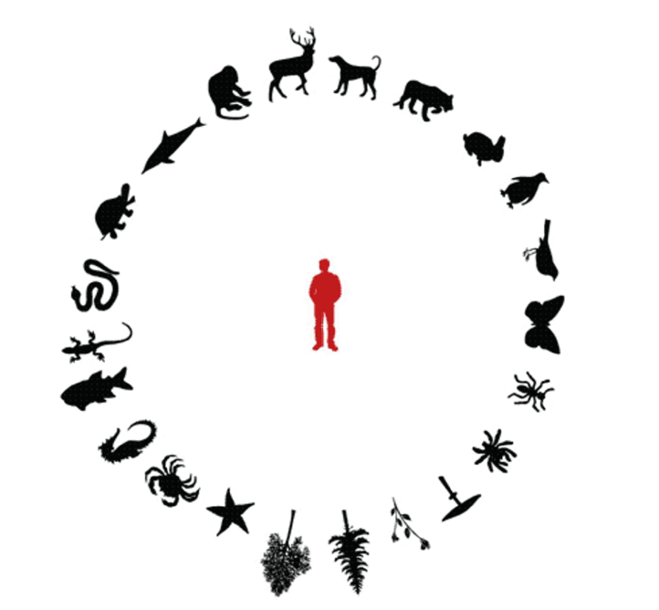 HumanIntoNature HumanIntoNature